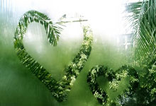 PANDA-国际比赛日法兰克福复出首秀：欧超杯节点到来，压力陡增，高层口径保持一致的简单介绍