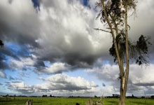 PANDA-关于詹姆斯遭遇七连败，巴塞罗那教练面临压力！的信息